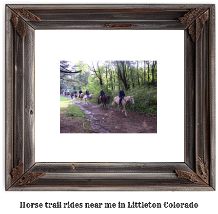 horse trail rides near me in Littleton, Colorado